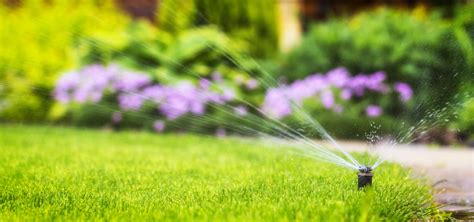 Effective Lawn Watering Tips For Chicago Homeowners Eden Lawn Care