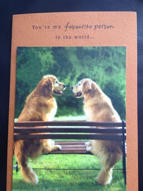 This Anniversary Card From My Husband Melted My Heart Golden Retrievers
