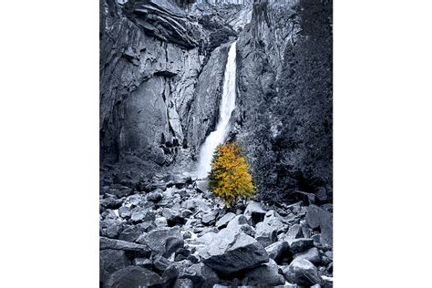 Lower Yosemite Falls And Lone Tree With Fall Colors — Focus Relief