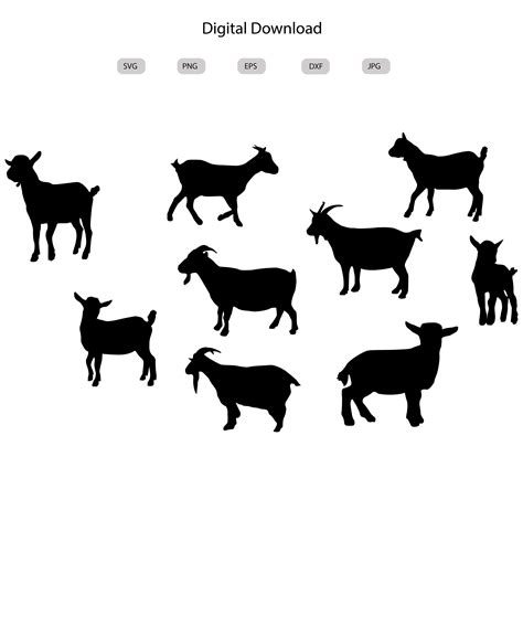 Pygmy Goats Svg Pygmy Goats Silhouette Pygmy Goats Svg Bundle Pygmy