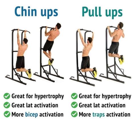 Chin Up Vs Pull Up What Are The Differences Nogii Pull Up Workout