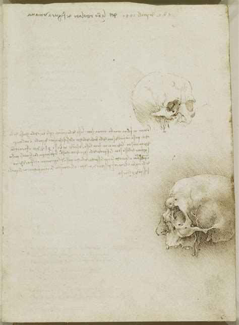 Details Da Vinci Anatomy Sketches Best Seven Edu Vn
