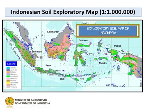 Peta Persebaran Tanah Di Indonesia Riset