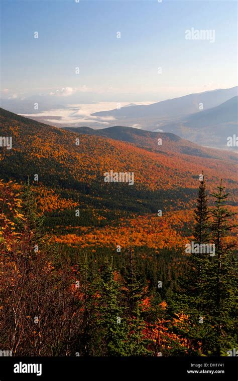 View Over An Autumn Forest With Fog Mount Washington New Hampshire