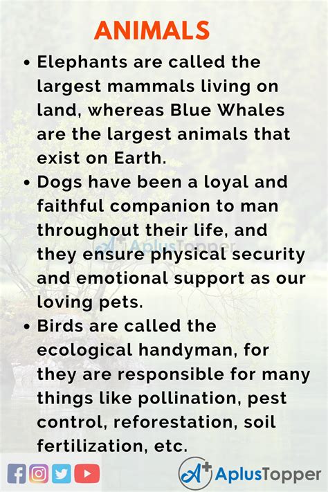 Essay On Animals Animals Essay For Students And Children In English