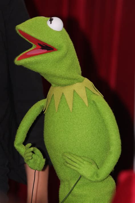 Kermit The Frog The Muppets Australian Premiere To Be