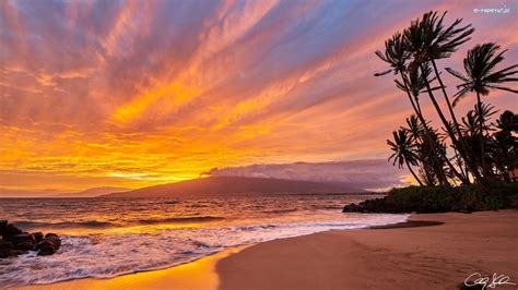Palmy Wyspa Maui Hawaje Morze Plaża Zachód Słońca
