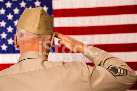 Military Senior Veteran In Uniform Saluting American Flag Stock Photo