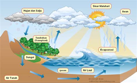 Info Populer Gambar Siklus Hidrologi