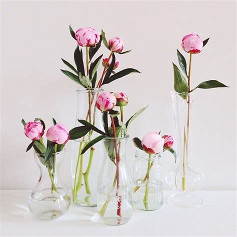A single stem vase perfect for displaying a solitary flower on a window ledge or bedside table. single stems arranged in glass bottles (With images ...