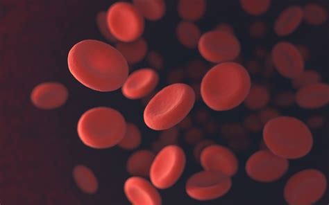 Microcytic Anemia What It Is Main Types And Treatment