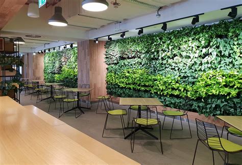 Discover Live And Artificial Green Walls In The Uae Planters
