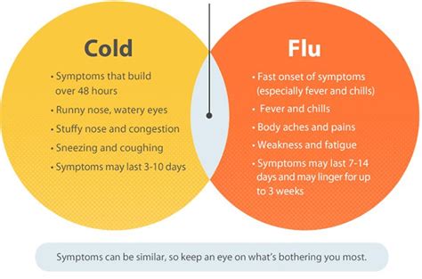 Viruses are very small germs. 감기에 대해 당신이 모르는 것 (1부) - Dr. Song's Blog