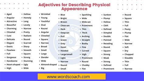 Adjectives For Describing Physical Appearance From Head To Toe Word Coach