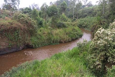 Land Deals Threaten to Impair River Nile | Pulitzer Center
