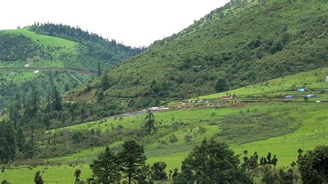 Works To Construct Mega Solar Power Plant Begins In Sephu Gewog Wangdue Phodrang The Bhutan Live