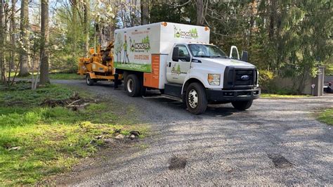 Monster Tree Service Chip Truck Youtube