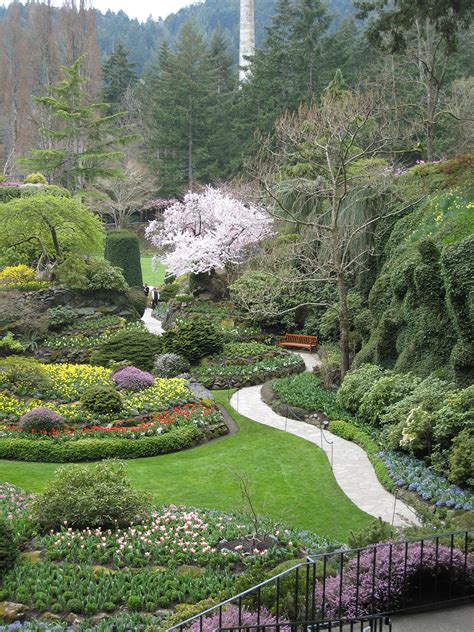 Immerse yourself in the beauty of victoria on a narrated drive of some of the city's landmarks. Victoria, BC, Canada | Nelsons' Duck Pond and Lavender Farm