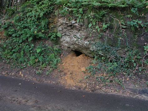 Animal Burrow © Andy Potter Geograph Britain And Ireland