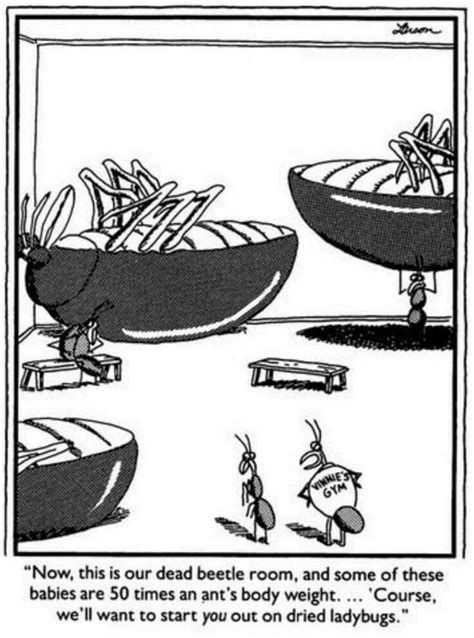 The Far Side By Gary Larson Hungry Funny Hungry Humor Far Side
