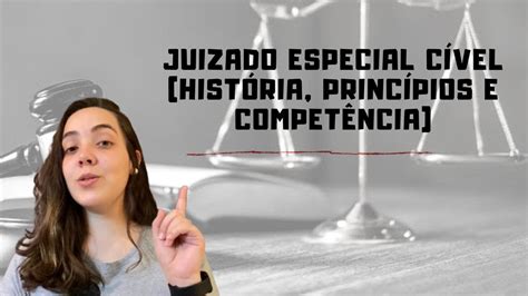 Principios Do Juizado Especial