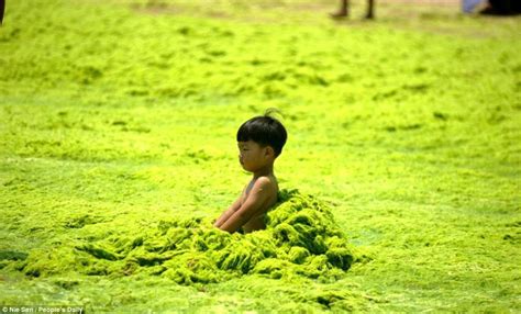 Green Algae And Chinese Tourists Descend On Qingdao Beaches In Summer