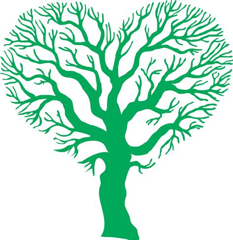 Está muchas veces clasificado en su propia división, ginkgophyta, siendo el único miembro de la clase ginkgopsida, orden ginkgoales, familia ginkgoaceae, género ginkgo. Árbol "Copa de corazón" - Stanser