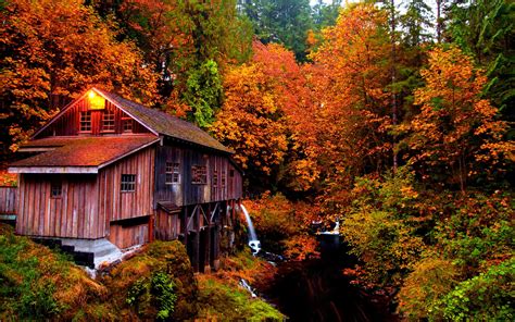 Forests Autumn Splendor Colors Colorful Peaceful Light Forest Water