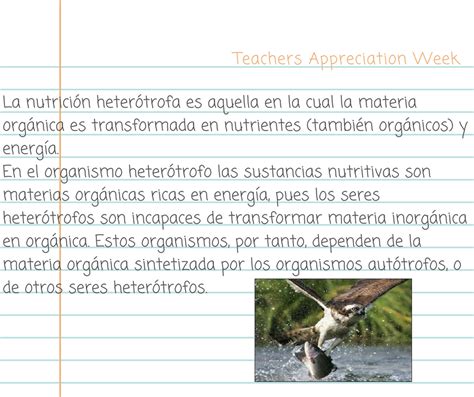 Organic Matter Metabolism