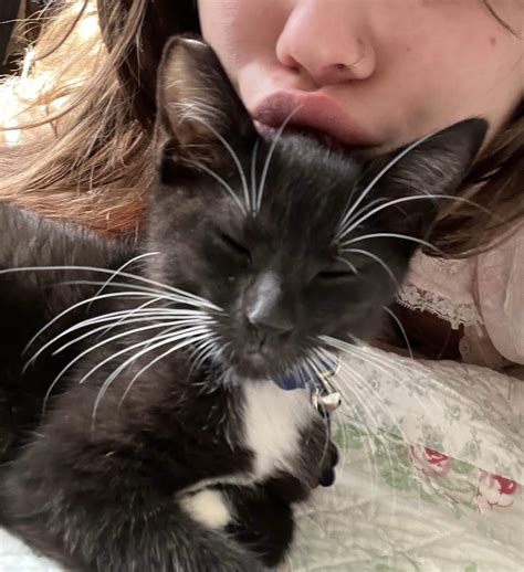 Kitty. : r/kitty