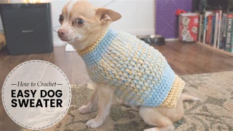 Easy Dog Sweater Crochet Pattern For Beginners Free Crochet For Pets