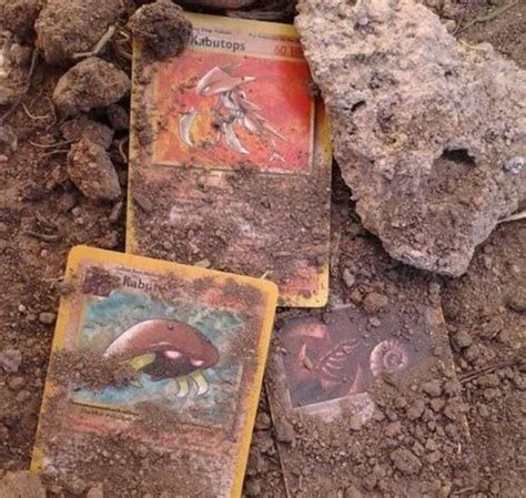 10 Of The Strangest Things People Have Found Buried In Their Backyard