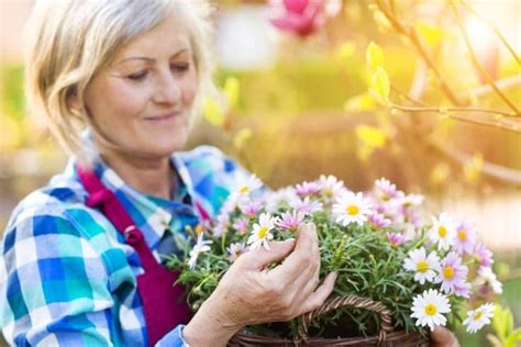 Benefits Of Gardening For Seniors Respectcaregivers