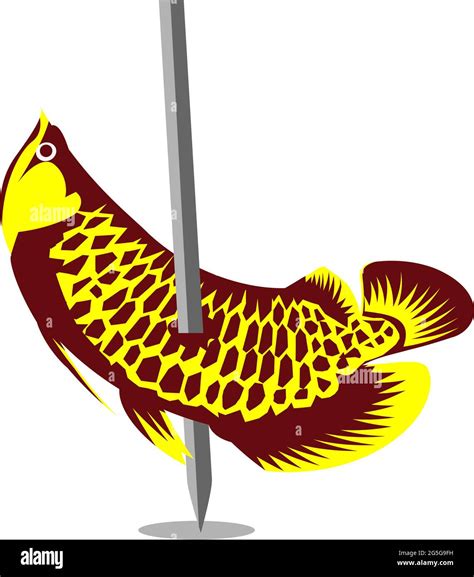 Arowana Fish Vector Dead Fish Vector Illustration On White Background