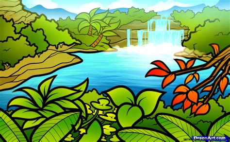 Tropical Rainforest Drawing Amazing Wallpapers