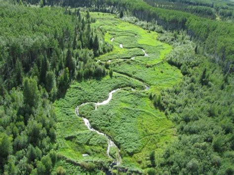 Alberta Shows It Is Serious About Protecting Natural Areas