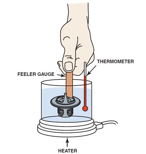 Why hive inspections are necessary? Diesel Engine Thermostats - ASE Certification Training HQ ...