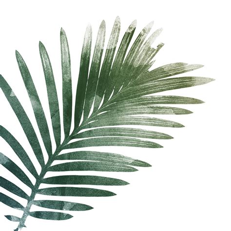 Simplistic leaf stencils printable palm tree template party. Palm Leaf paintings