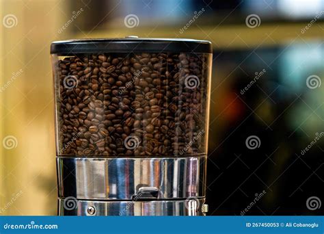 Coffee Beans In The Coffee Grinder Hopper Stock Image Image Of Coffee