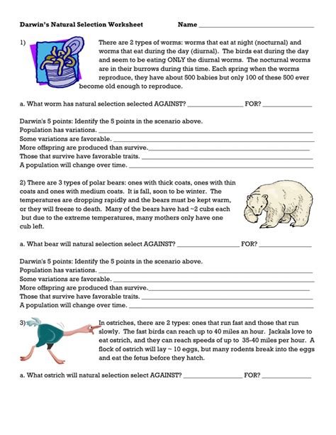 Each natural selection darwins five points is combined with handy teachers notes with answers. Darwin's Natural Selection Worksheet