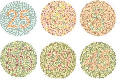 How To Interpret The Ishihara Color Plate Test