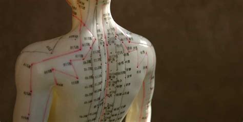 What Conditions Can Be Treated With Acupuncture Public Eye Northwest