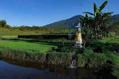 Explaining Bali S Subak System And Why Rice Fields Are Cultural Landscapes Now Bali