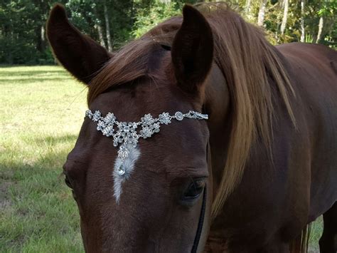 Faux Diamond Browband For Pony Horse Or Draft Equine Bling Etsy