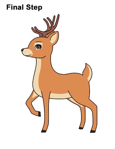 How To Draw A Deer Cartoon Video And Step By Step Pictures