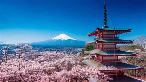 4 Motivos Para Viajar A Japón