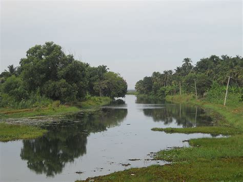 Counted amongst the ten paradises of the world, kerala is the most aesthetic region of india. Puzhakkal River - Wikipedia