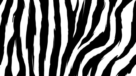 47 Zebra Pattern Wallpaper Wallpapersafari