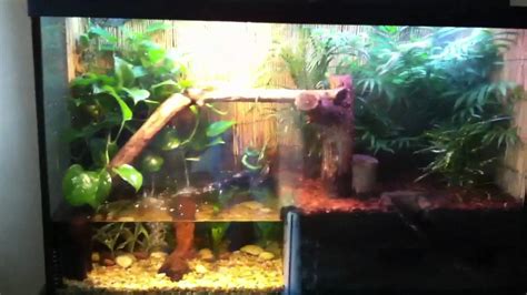 Like all reptiles, they require careful attention my dragon has been spending a lot of time out of her tank. water dragon tank - YouTube
