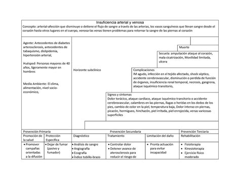 Historia Natural De La Enfermedad Insuficiencia Venosa En Pacientes